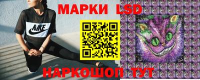 гашик Берёзовский