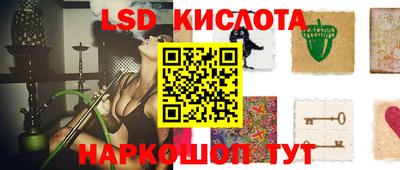 гашик Берёзовский