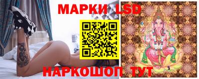 гашик Берёзовский