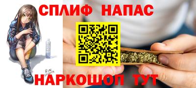 гашик Берёзовский