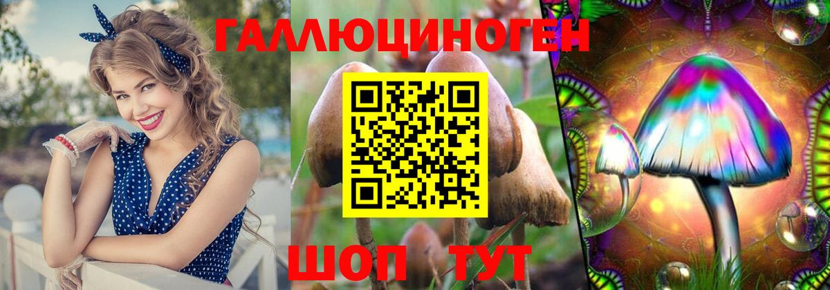 где можно купить наркотик  Вход с VPN  Ижевск  Галлюциногенные грибы Psilocybine cubensis 